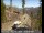 Webcam in South Lake Tahoe, Kalifornien, 151.9 km entfernt