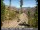 Webcam in South Lake Tahoe, Californie, 215.5 km