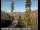 Webcam in South Lake Tahoe, California, 48.1 mi away