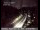 Webcam in South Lake Tahoe, California, 48.5 mi away
