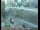 Webcam in Los Angeles, California, 0.8 mi away