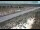 Webcam in Dove Creek, Colorado, 39 mi away