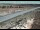 Webcam in Dove Creek, Colorado, 227.6 km
