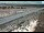 Webcam in Dove Creek, Colorado, 108 km
