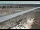 Webcam in Dove Creek, Colorado, 53.1 mi away