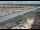 Webcam in Dove Creek, Colorado, 248.3 km