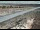 Webcam in Dove Creek, Colorado, 137.6 km
