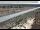 Webcam in Dove Creek, Colorado, 108 km