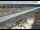 Webcam in Dove Creek, Colorado, 138 km