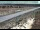 Webcam in Dove Creek, Colorado, 41.6 mi away