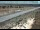 Webcam in Dove Creek, Colorado, 114.8 km entfernt