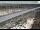 Webcam in Dove Creek, Colorado, 92.2 km entfernt