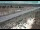 Webcam in Dove Creek, Colorado, 53.2 mi away