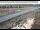 Webcam in Dove Creek, Colorado, 137.9 km entfernt