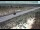 Webcam in Dove Creek, Colorado, 53.1 mi away