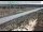 Webcam in Dove Creek, Colorado, 92.2 km entfernt