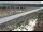 Webcam in Dove Creek, Colorado, 65.8 km