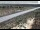 Webcam in Dove Creek, Colorado, 41.6 mi away