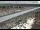 Webcam in Dove Creek, Colorado, 108 km