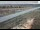Webcam in Dove Creek, Colorado, 252.3 km