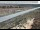 Webcam in Dove Creek, Colorado, 137.6 km
