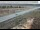 Webcam in Dove Creek, Colorado, 137.6 km