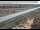 Webcam in Dove Creek, Colorado, 108 km