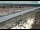 Webcam in Dove Creek, Colorado, 248.3 km