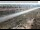 Webcam in Dove Creek, Colorado, 137.6 km