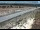 Webcam in Dove Creek, Colorado, 65.8 km