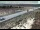 Webcam in Dove Creek, Colorado, 65.8 km