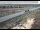 Webcam in Dove Creek, Colorado, 87.8 mi away