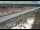Webcam in Dove Creek, Colorado, 92.2 km