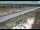 Webcam in Dove Creek, Colorado, 65.8 km
