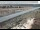 Webcam in Dove Creek, Colorado, 92.2 km entfernt