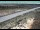 Webcam in Dove Creek, Colorado, 137.6 km