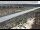 Webcam in Dove Creek, Colorado, 321.2 km