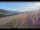 Webcam in Gunnison, Colorado, 24.6 mi away