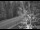 Webcam in Ironton, Colorado, 45 km