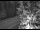 Webcam in Ironton, Colorado, 16.3 km