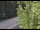 Webcam in Ironton, Colorado, 50.5 mi away