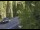 Webcam in Ironton, Colorado, 131 km entfernt