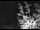 Webcam in Ironton, Colorado, 37.3 mi away