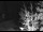 Webcam in Ironton, Colorado, 31.5 km entfernt