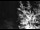 Webcam in Ironton, Colorado, 40.8 km