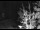 Webcam in Ironton, Colorado, 43.7 km entfernt