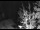 Webcam in Ironton, Colorado, 65.1 km entfernt