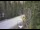 Webcam in Ironton, Colorado, 19.8 km entfernt