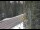 Webcam in Ironton, Colorado, 0.6 mi away