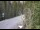Webcam in Ironton, Colorado, 18.7 km entfernt